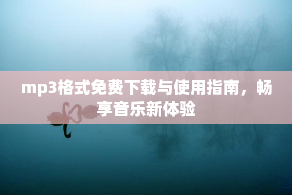 mp3格式免费下载与使用指南，畅享音乐新体验