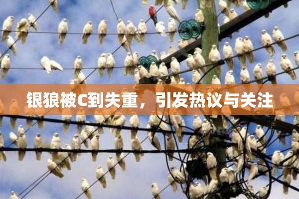 银狼被C到失重，引发热议与关注