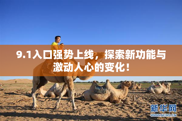 9.1入口强势上线，探索新功能与激动人心的变化！