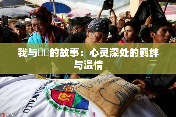 我与妺妺的故事：心灵深处的羁绊与温情