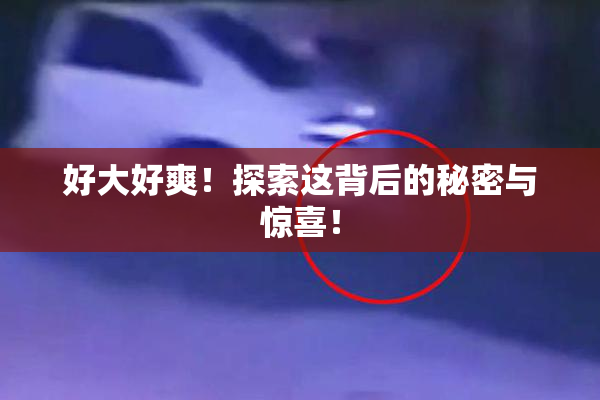 好大好爽！探索这背后的秘密与惊喜！