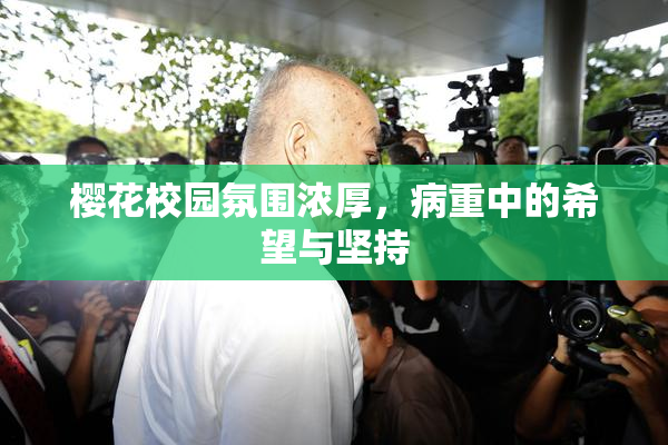 樱花校园氛围浓厚，病重中的希望与坚持