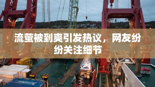 流萤被到爽引发热议，网友纷纷关注细节