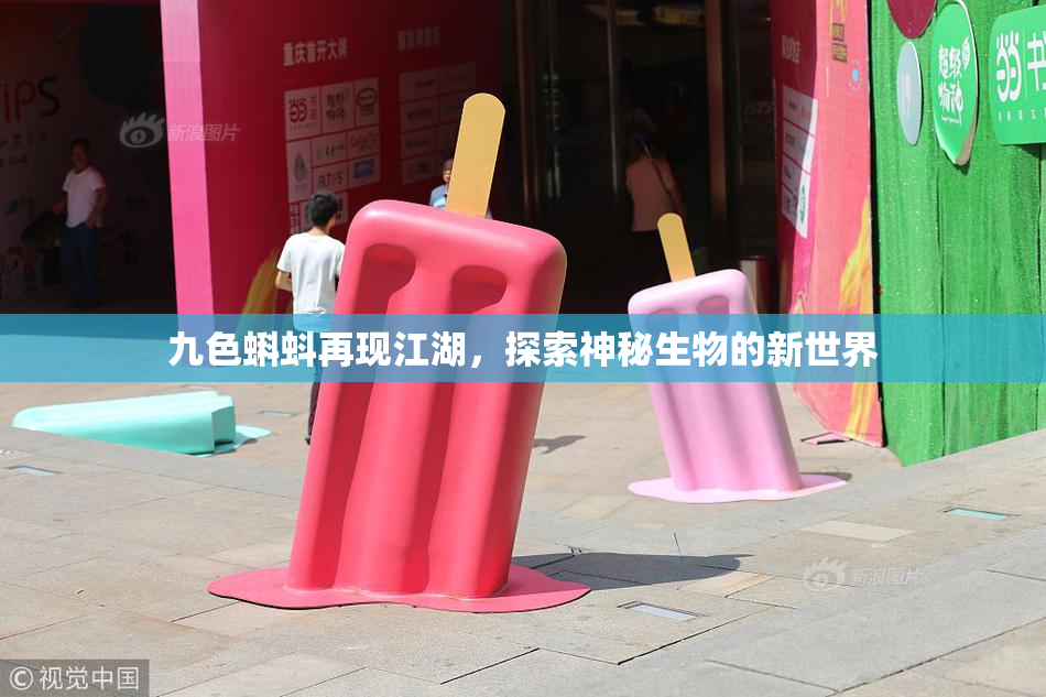 九色蝌蚪再现江湖，探索神秘生物的新世界