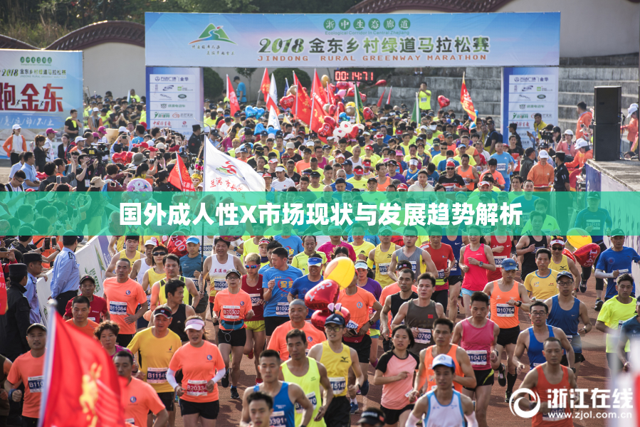 国外成人性X市场现状与发展趋势解析