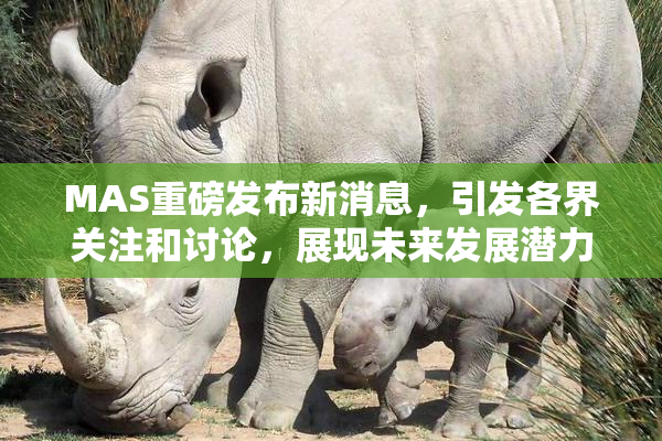 MAS重磅发布新消息，引发各界关注和讨论，展现未来发展潜力