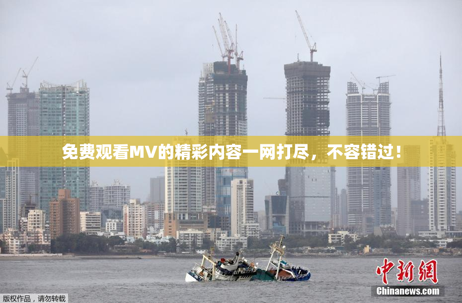 免费观看MV的精彩内容一网打尽，不容错过！