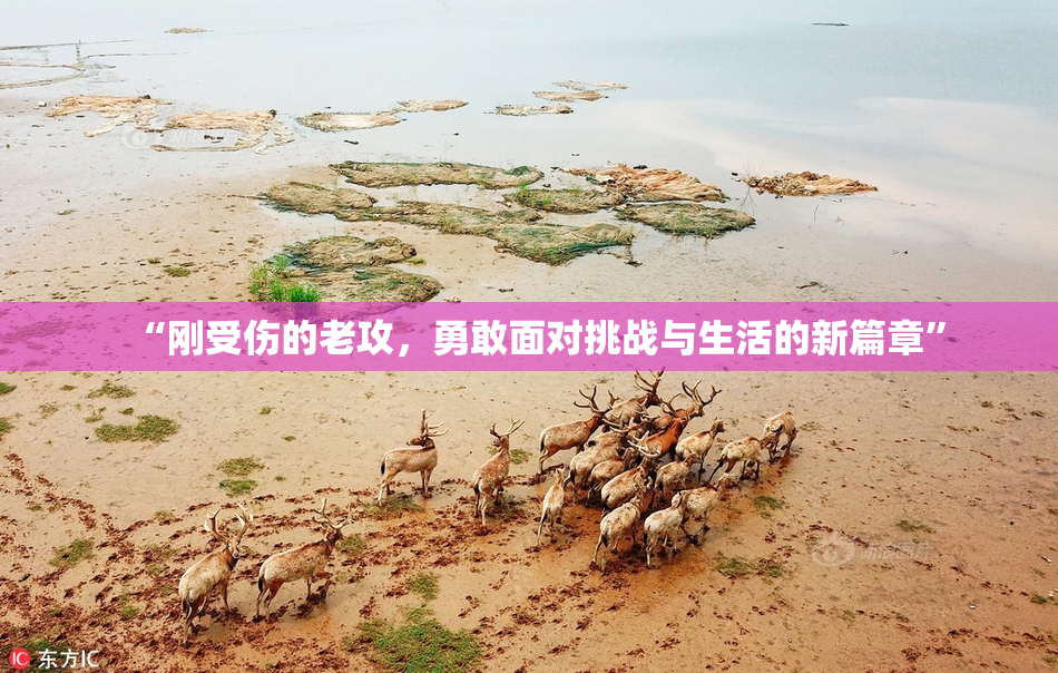 “刚受伤的老攻，勇敢面对挑战与生活的新篇章”