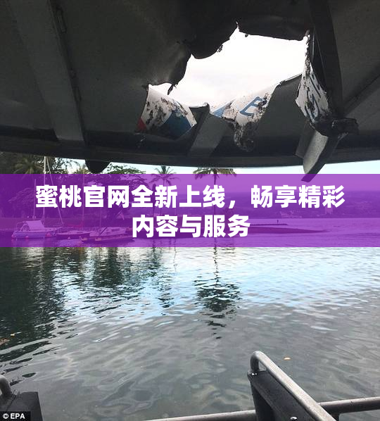蜜桃官网全新上线，畅享精彩内容与服务