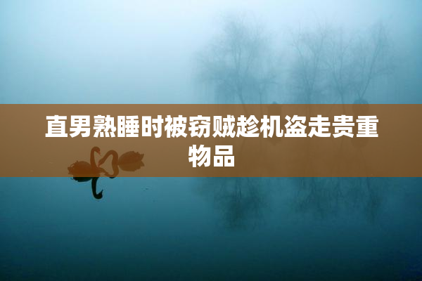 直男熟睡时被窃贼趁机盗走贵重物品