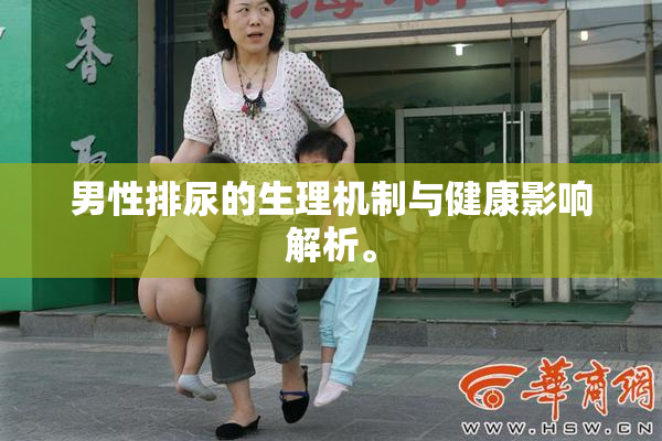 男性排尿的生理机制与健康影响解析。