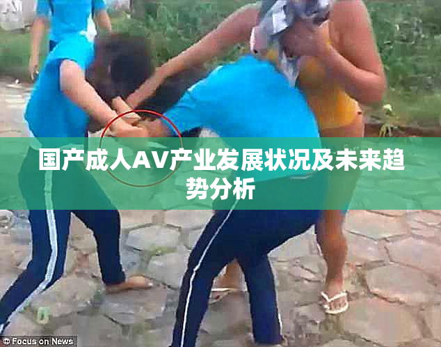 国产成人AV产业发展状况及未来趋势分析