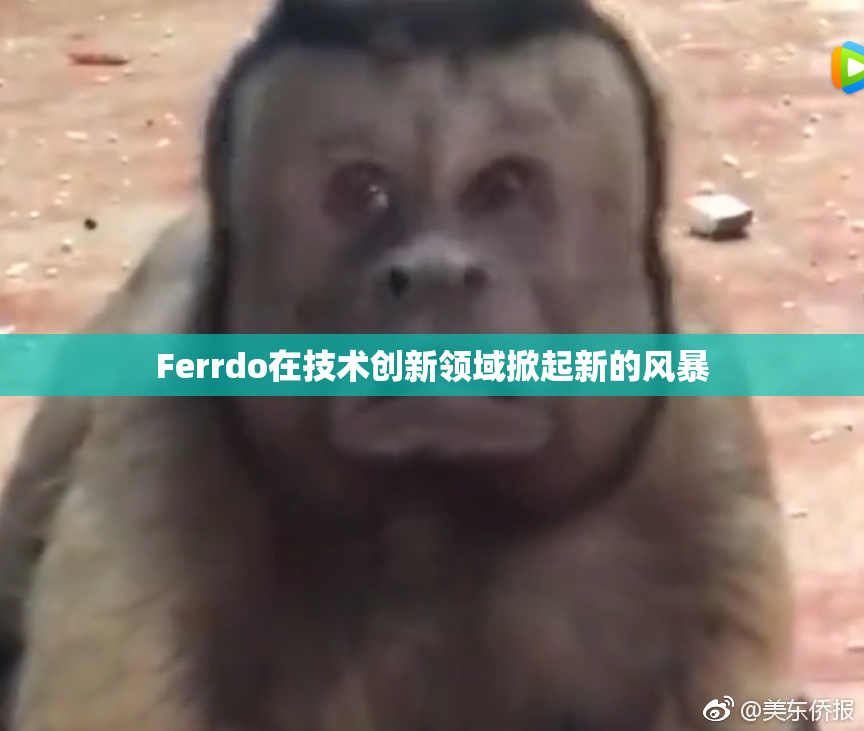 Ferrdo在技术创新领域掀起新的风暴