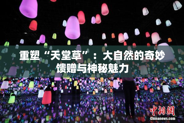 重塑“天堂草”：大自然的奇妙馈赠与神秘魅力
