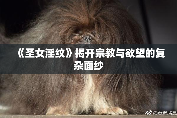 《圣女淫纹》揭开宗教与欲望的复杂面纱