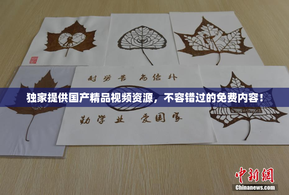 独家提供国产精品视频资源，不容错过的免费内容！