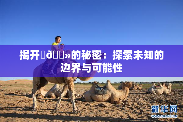 揭开‌🐻的秘密：探索未知的边界与可能性