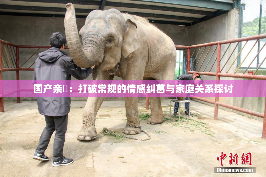 国产亲妺：打破常规的情感纠葛与家庭关系探讨