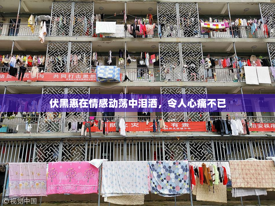 伏黑惠在情感动荡中泪洒，令人心痛不已