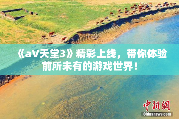 《a∨天堂3》精彩上线，带你体验前所未有的游戏世界！