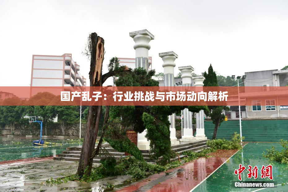国产乱子：行业挑战与市场动向解析