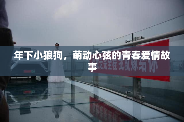 年下小狼狗，萌动心弦的青春爱情故事