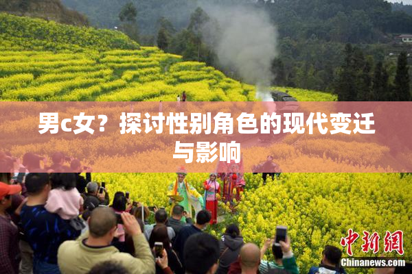 男c女？探讨性别角色的现代变迁与影响