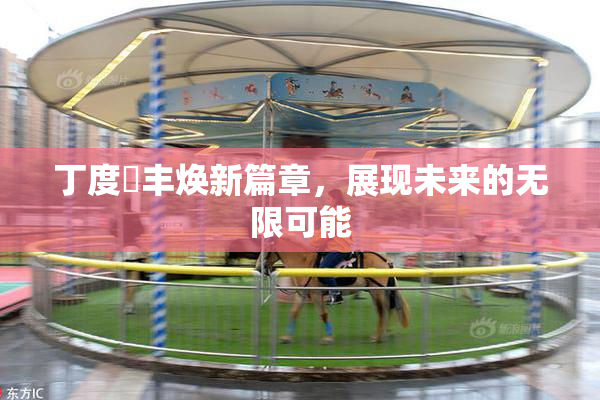 丁度巜丰焕新篇章，展现未来的无限可能