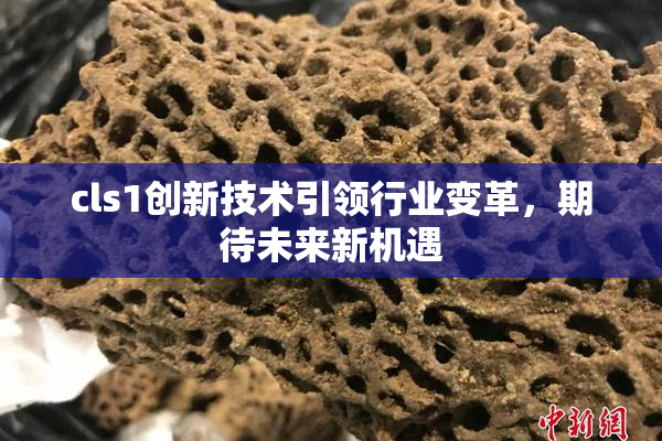 cls1创新技术引领行业变革，期待未来新机遇