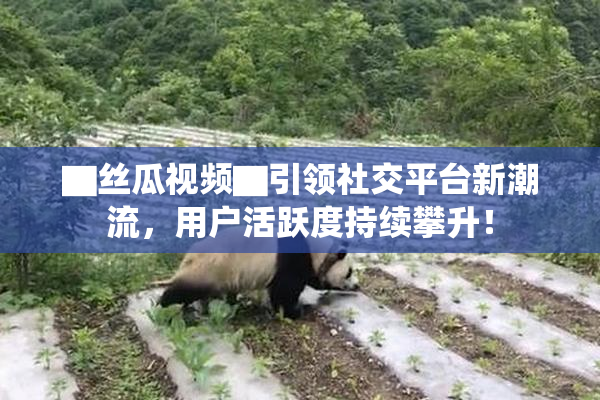 ▇丝瓜视频▇引领社交平台新潮流，用户活跃度持续攀升！