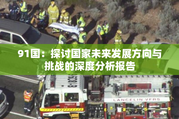 91国：探讨国家未来发展方向与挑战的深度分析报告