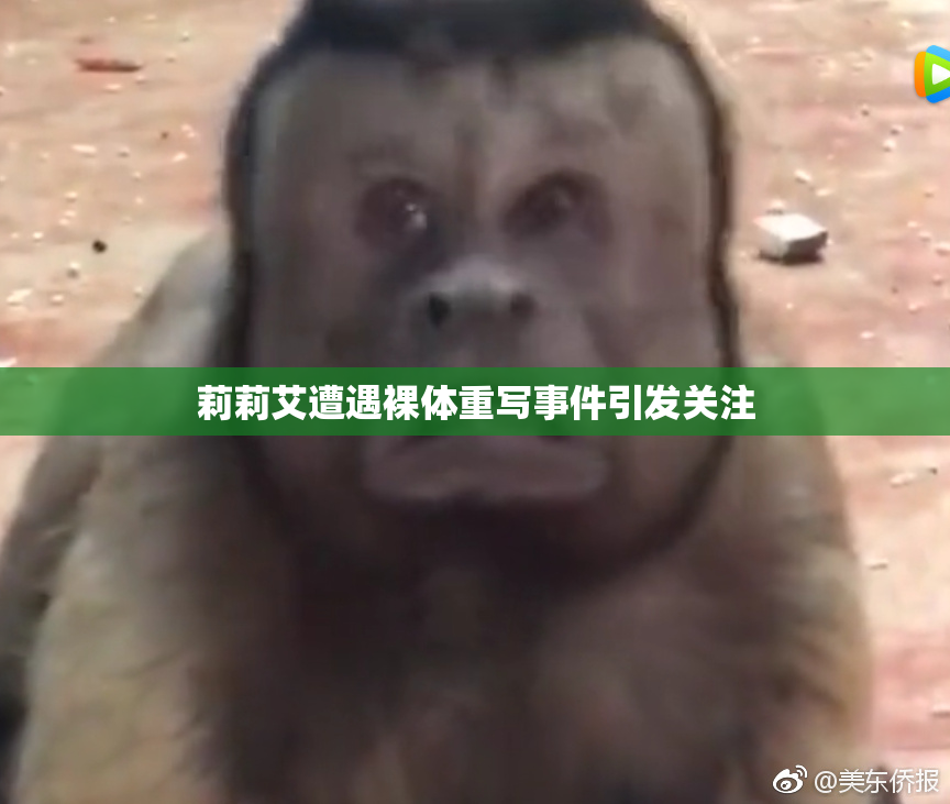 莉莉艾遭遇裸体重写事件引发关注