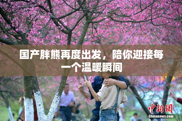 国产胖熊再度出发，陪你迎接每一个温暖瞬间