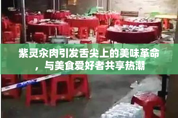 紫灵汆肉引发舌尖上的美味革命，与美食爱好者共享热潮