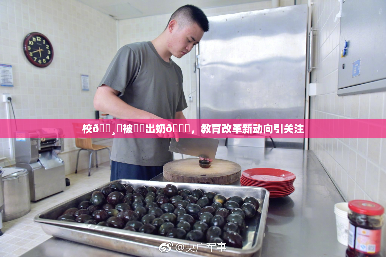 校🌸‌被❌‌出奶🔞，教育改革新动向引关注