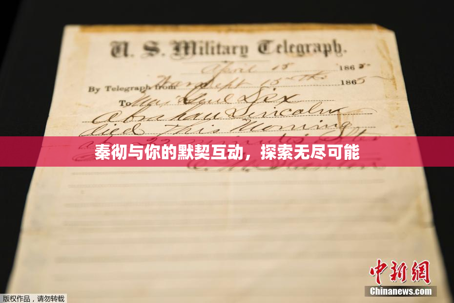 秦彻与你的默契互动，探索无尽可能