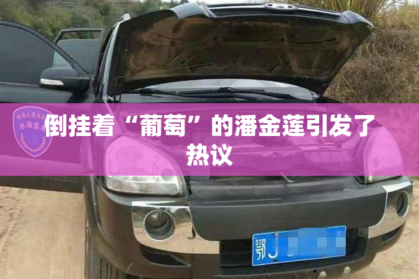 倒挂着“葡萄”的潘金莲引发了热议