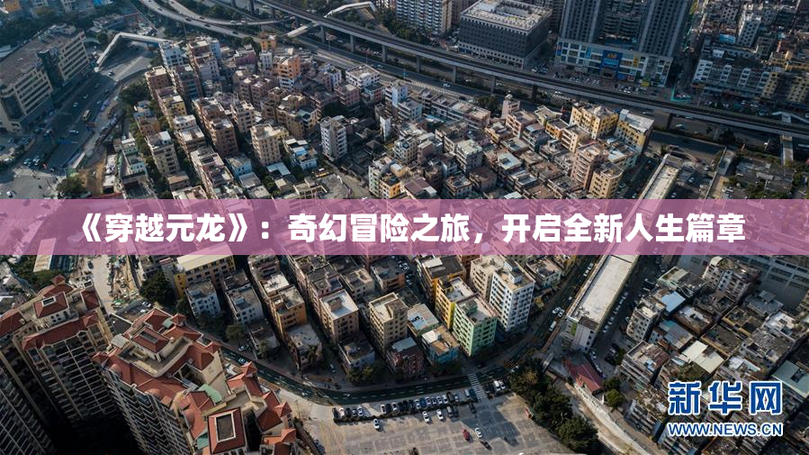 《穿越元龙》：奇幻冒险之旅，开启全新人生篇章
