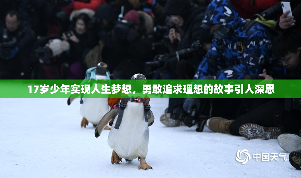 17岁少年实现人生梦想，勇敢追求理想的故事引人深思