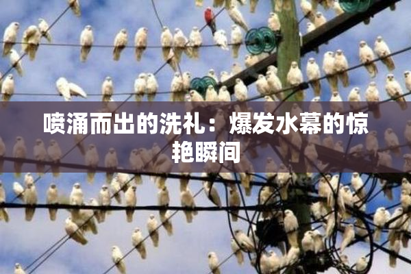 喷涌而出的洗礼：爆发水幕的惊艳瞬间