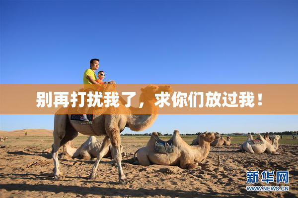 别再打扰我了，求你们放过我！