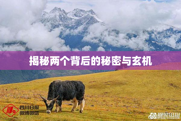 揭秘两个背后的秘密与玄机