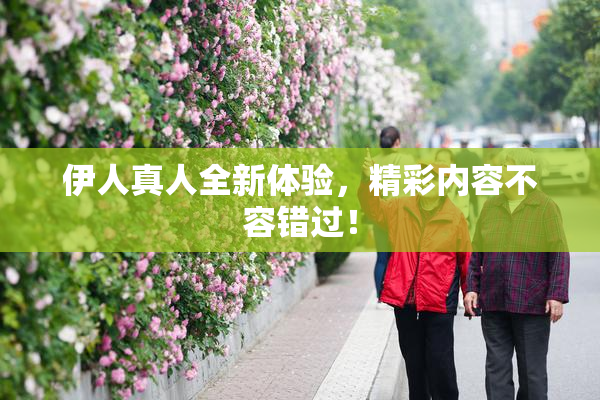 伊人真人全新体验，精彩内容不容错过！