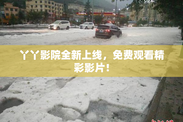 丫丫影院全新上线，免费观看精彩影片！