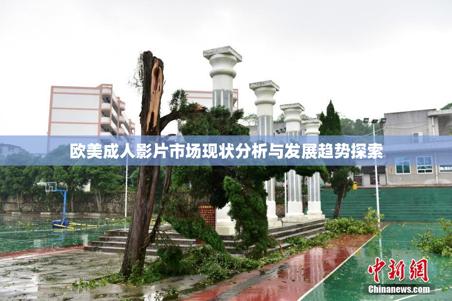 欧美成人影片市场现状分析与发展趋势探索