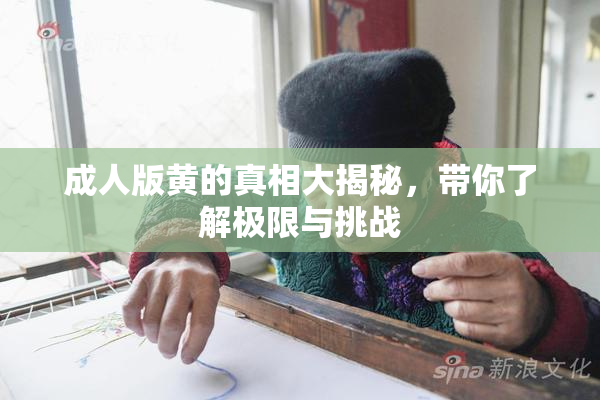 成人版黄的真相大揭秘，带你了解极限与挑战