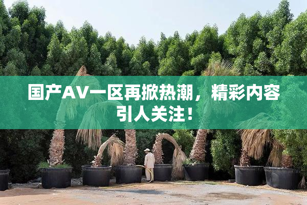 国产AV一区再掀热潮，精彩内容引人关注！
