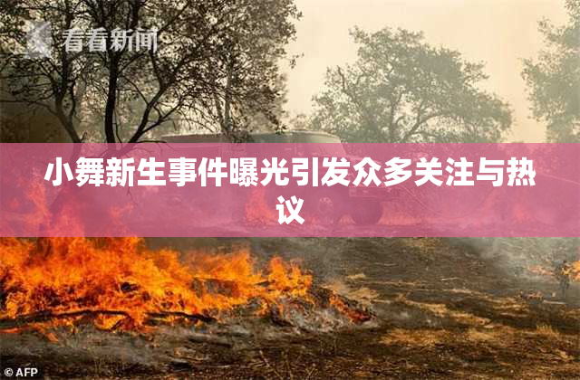 小舞新生事件曝光引发众多关注与热议