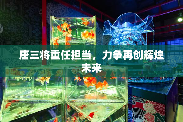 唐三将重任担当，力争再创辉煌未来