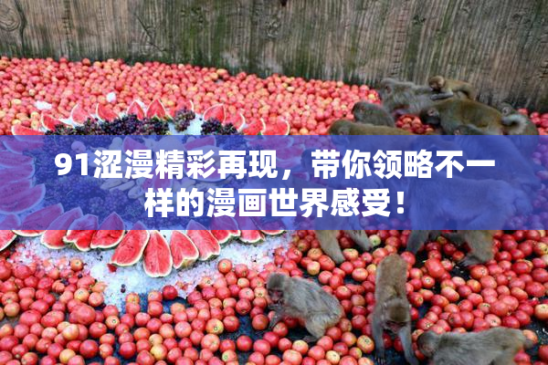 91涩漫精彩再现，带你领略不一样的漫画世界感受！